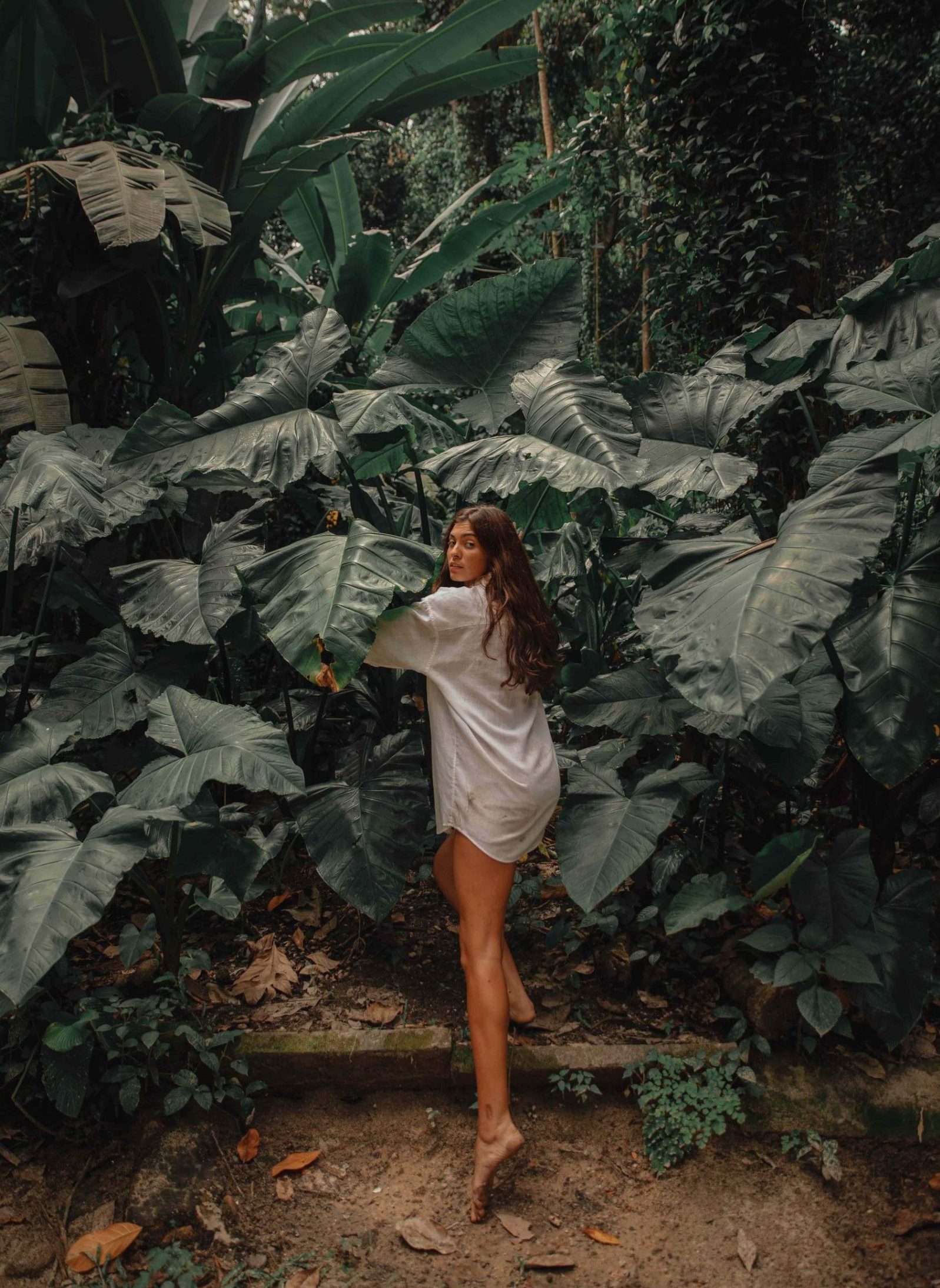 Imitating Forest Life Moment Captured